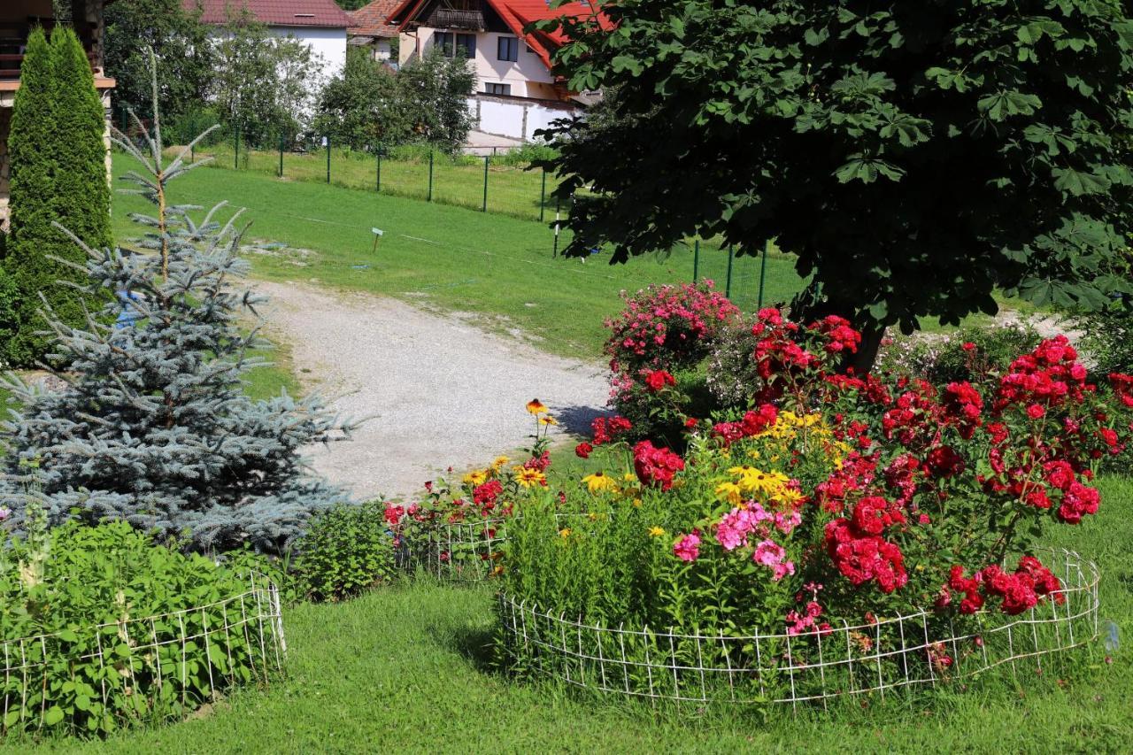 Pensiunea Dealul Frumos Bran  Bagian luar foto