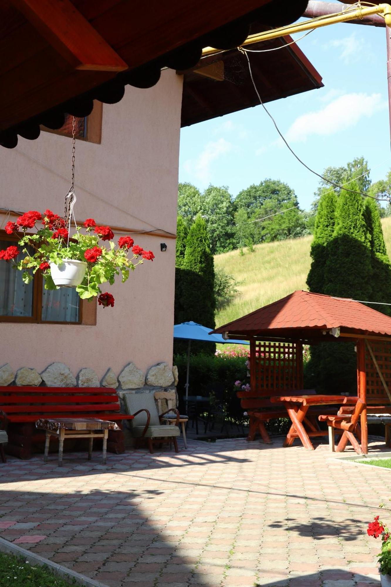 Pensiunea Dealul Frumos Bran  Bagian luar foto