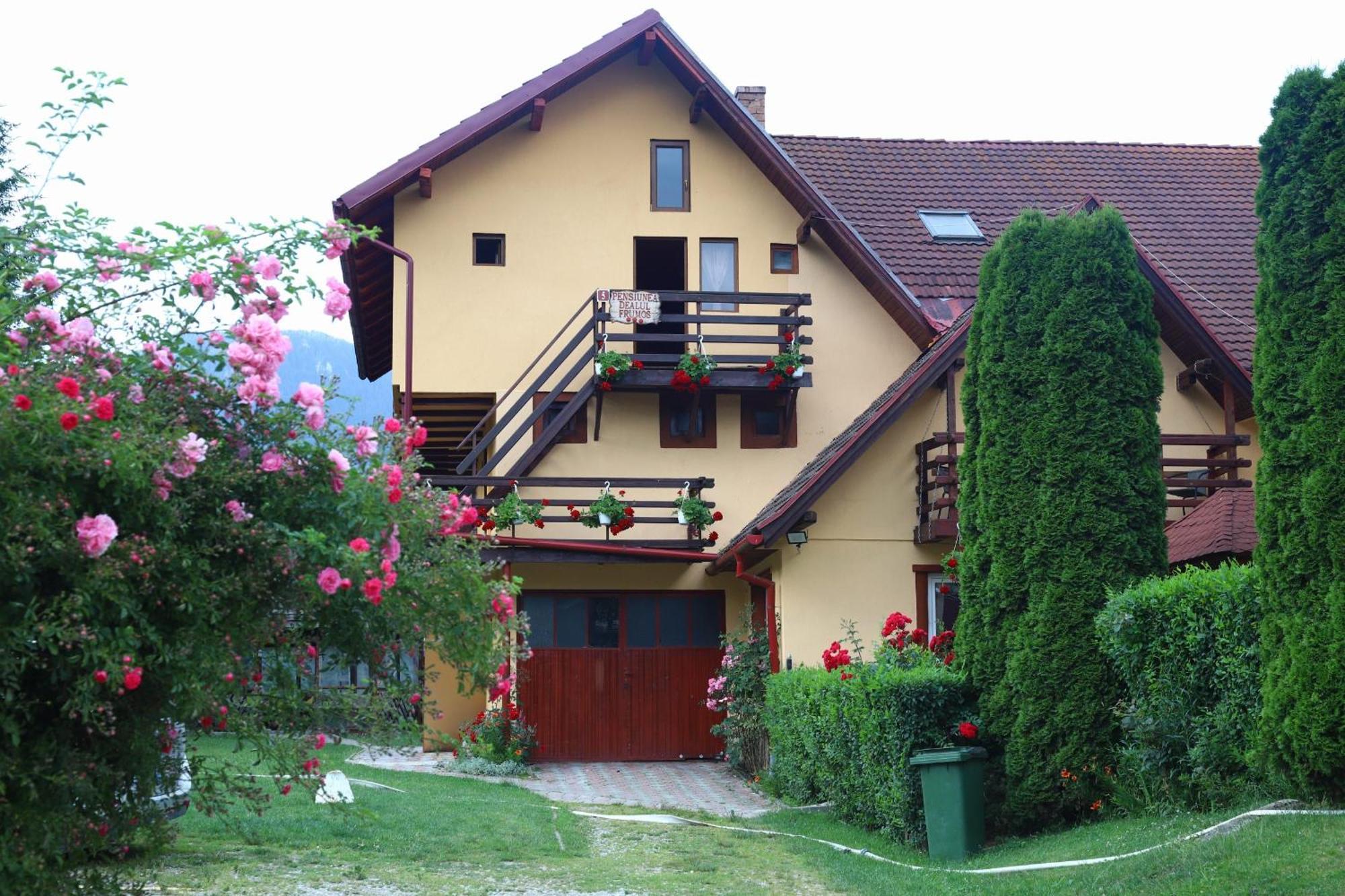 Pensiunea Dealul Frumos Bran  Bagian luar foto
