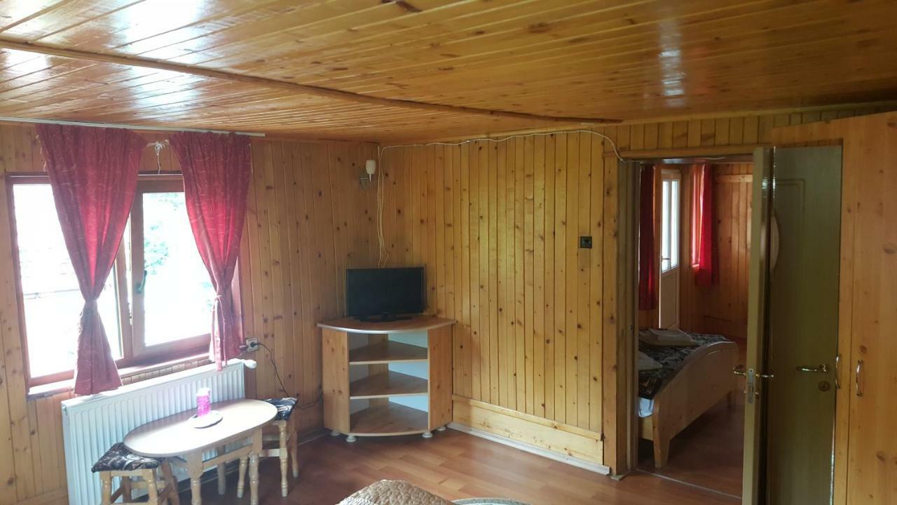 Pensiunea Dealul Frumos Bran  Bagian luar foto