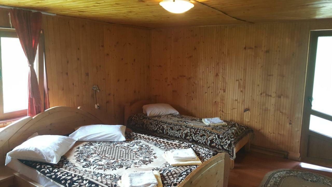 Pensiunea Dealul Frumos Bran  Bagian luar foto